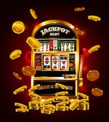 264 bet