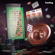 264 bet 264 bet