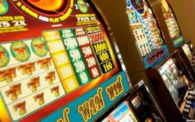 264 bet 264 bet